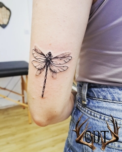 Dragonfly